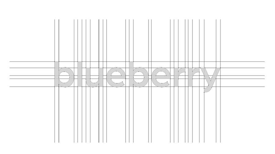 Blueberry Studio
