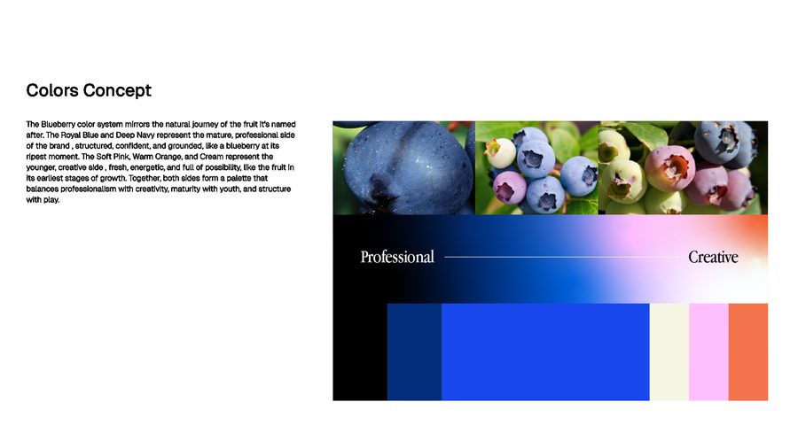 Blueberry Studio